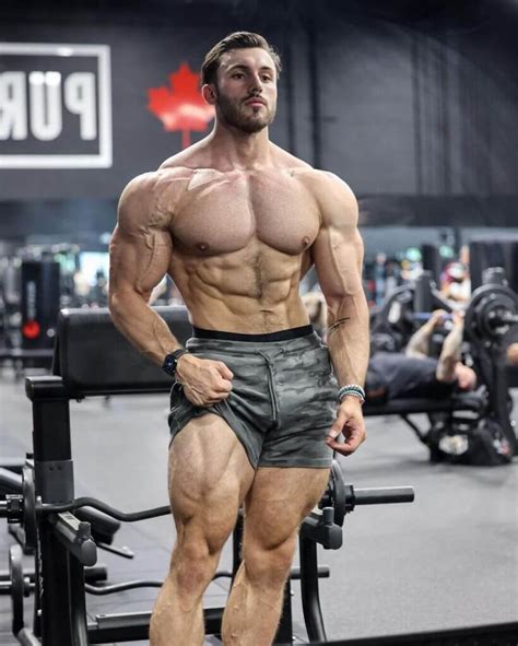 brandon harding leaked|Britt Shaheen : r/gymsnark